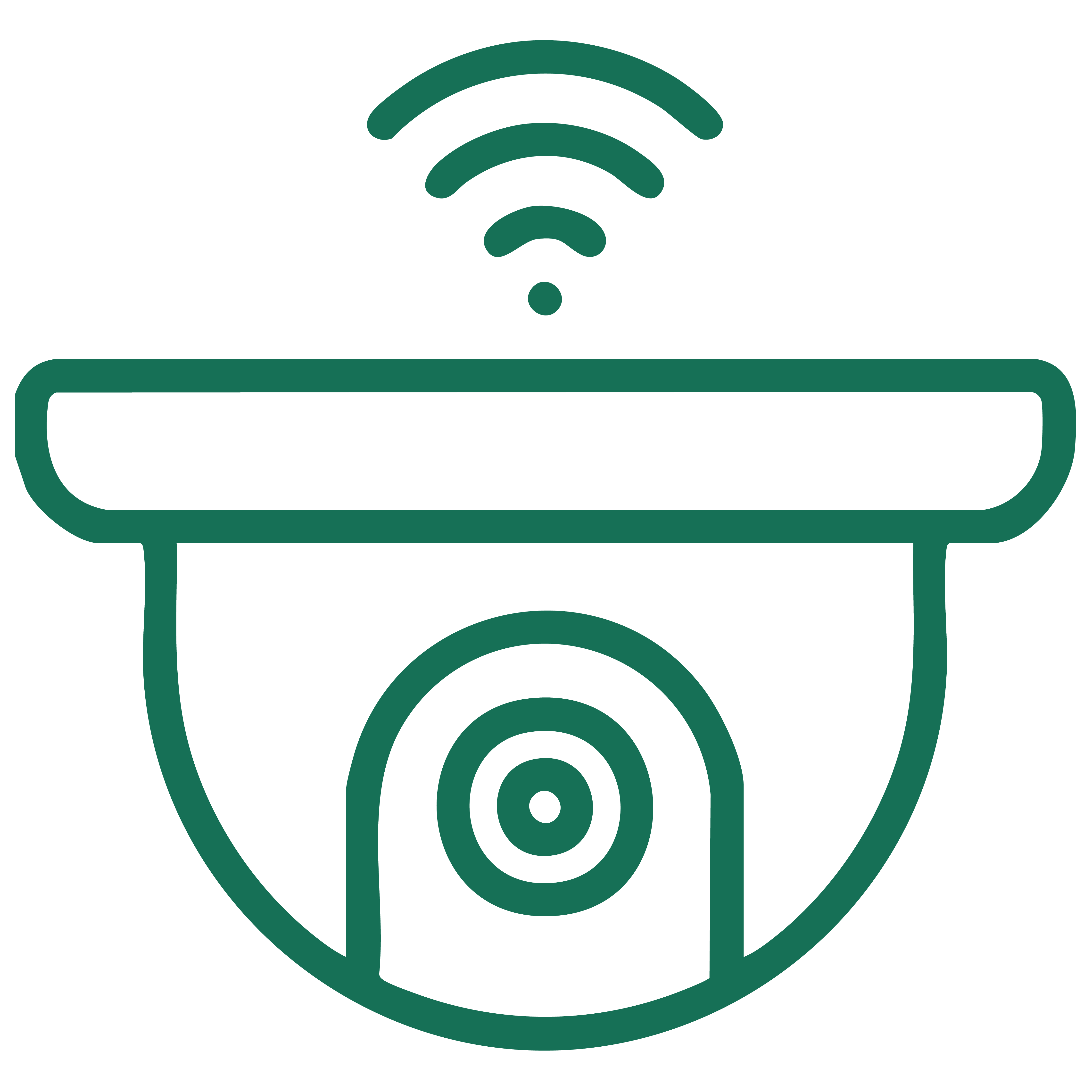 CC Camera / IP Camera